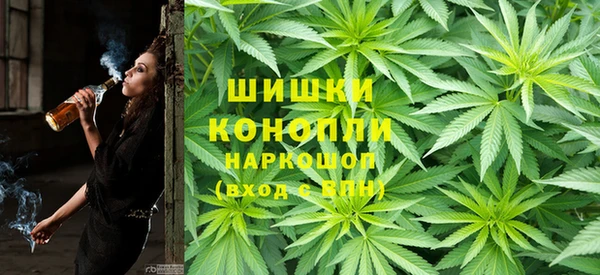 spice Гусев
