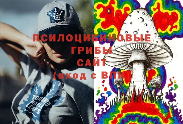 скорость Гусь-Хрустальный