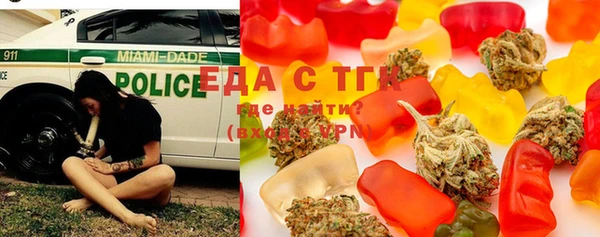spice Гусев